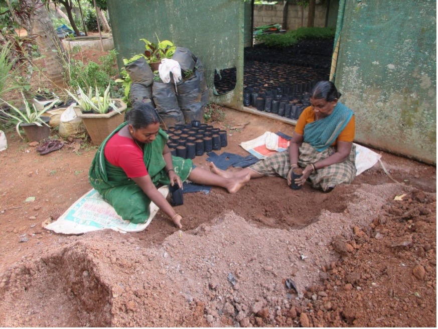 Saatgutprojekt in Indien für die Erneuerung von Ressourcen.